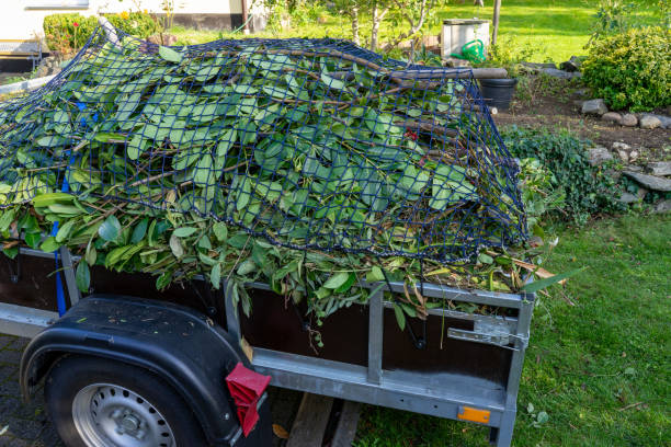 Recycling Services for Junk in Friendship Heights Village, MD